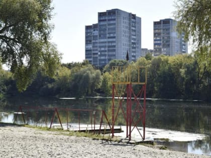 В Курске благоустроят пляжи на Новой Боевке и в Сеймском округе