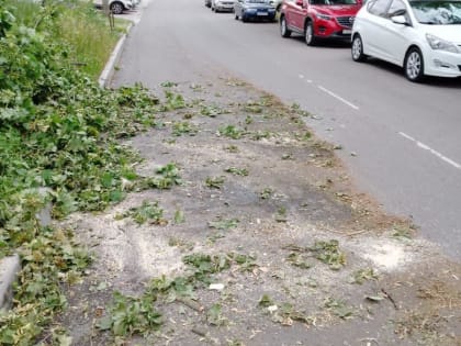 В Курске на улице Можаевской убрали с дороги дерево