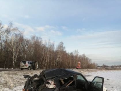 В Курской области в ДТП пострадали два человека