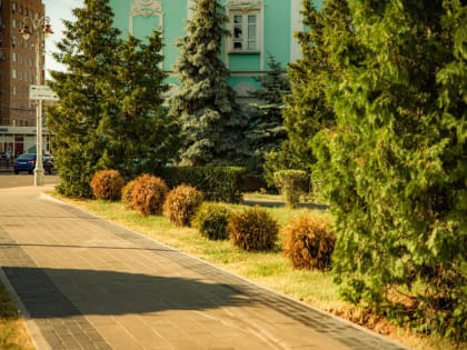 В Курске 31-летний водитель сбил 8-летнюю девочку