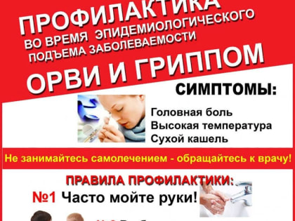 Профилактика гриппа и ОРВИ