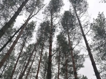 Уведомление о проведении общественных обсуждений материалов обоснования лицензии на эксплуатацию объекта «Комплекс по переработке радиоактивных отходов Курской АЭС», включая предва