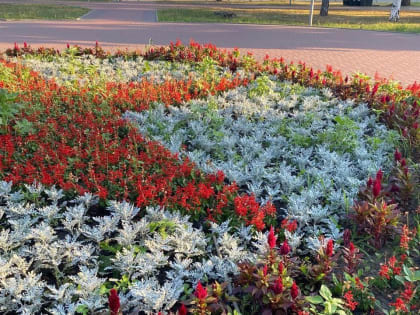 Сотрудники городских служб осуществляют полив растений