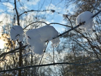 17 января в Курске потеплеет и будет ветрено