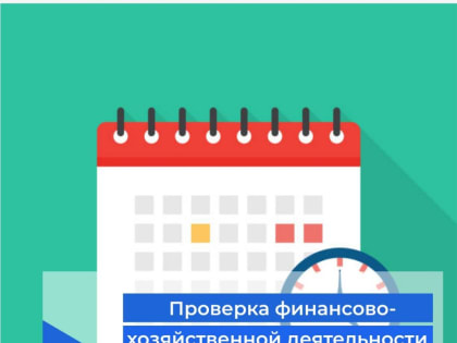 Проверка финансово-хозяйственной деятельности УО