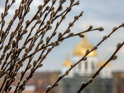 Роман Старовойт поздравил курян с Вербным воскресением