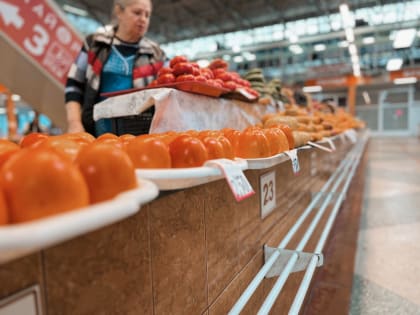 Поддержка предпринимателей в Курской области
