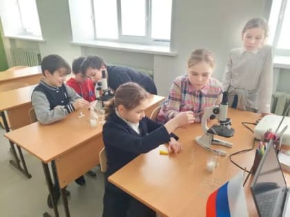 «Снежный час»