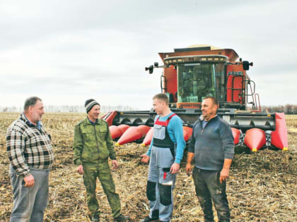 На кукурузных полях района