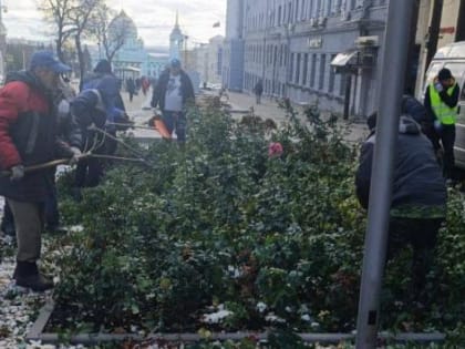 В Курске активизировалась уборка и обрезка городских растений