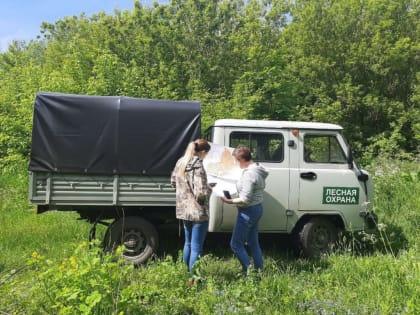 Комитет природных ресурсов продолжает патрулирование за соблюдением правил пожарной безопасности в лесах