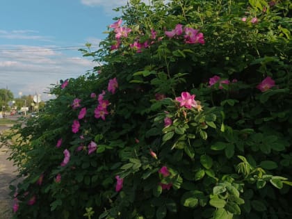 Прогноз погоды на ближайшие дни в городе