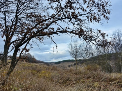 В Курске в понедельник синоптики обещают солнечную погоду