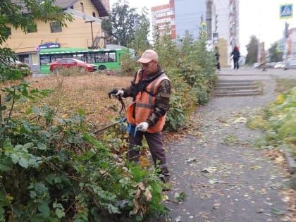 Уборка сорной растительности на улице Белинского в Курске
