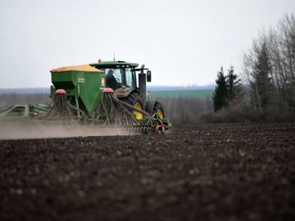 Курские аграрии рассказали о ценовых ожиданиях на ближайшие месяцы