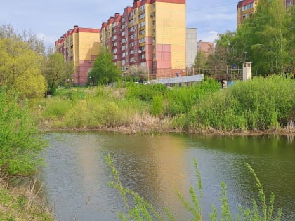 В сквере «Студенческий» в Курске обустроили колодец для сбора талой и дождевой воды