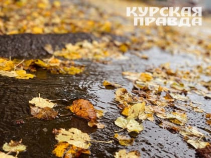 В Курской области 24 октября ожидаются дожди и сильный ветер