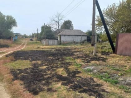 В Курской области введён особый противопожарный режим