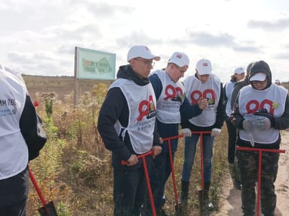 В Курской области 60 человек приняли участие в акции «Сохраним лес»
