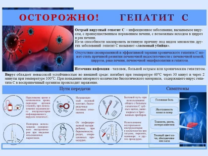 Идет неделя по борьбе с заражением и распространение хронического вирусного гепатита С