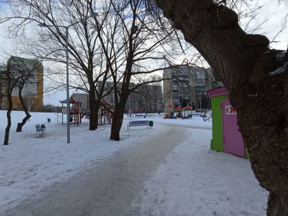 Благоустроенная зона отдыха у Ермошкина озера стала местом притяжения курян