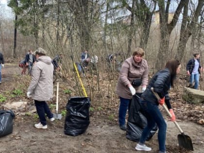 В Курске организовали субботник возле городской больницы Гладковой