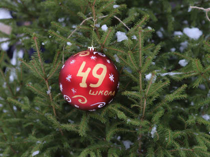 Курские школьники помогают украшать «Красный лес»