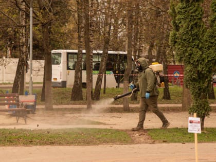 Парк Героев Гражданской войны в Курске обработали от клещей