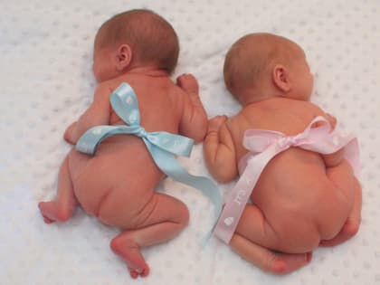 В Курске на Крещение родились две королевские двойни