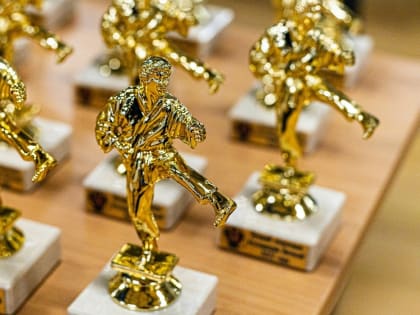 Трое курян включены в состав сборной страны по всестилевому карате