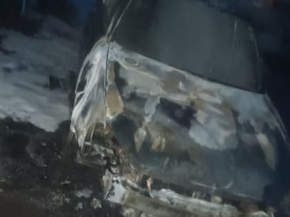В Курской области ночью 30 мая сгорел автомобиль «Лада Приора»