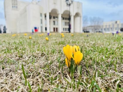 В Курской области 6 апреля ожидается небольшой дождь и до 17 градусов тепла