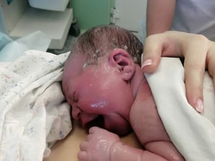 Курский областной перинатальный центр открылся после двух недель перерыва