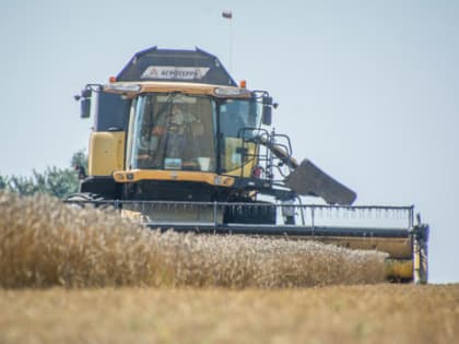 Почему ИИ не заменит агронома?