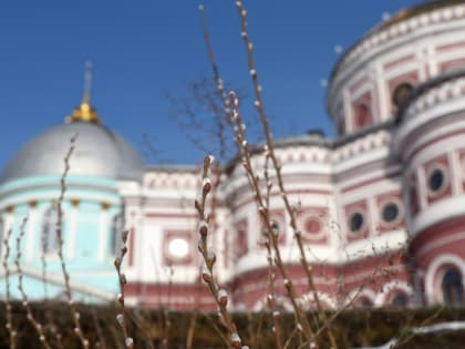 В Курской области 19 февраля обещают небольшой снег и до -16 градусов