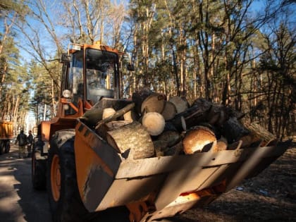 Курян приглашают присоединиться к очередной акции по заготовке дров для нужд участников СВО.