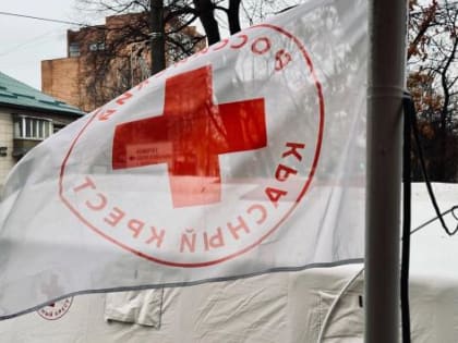 В Курской области Красный Крест закупил инсулин для льготников на 1,5 миллиона рублей