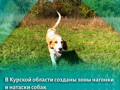 В Курской области созданы зоны нагонки и натаски собак