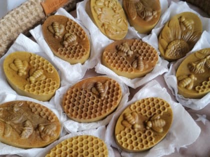 Стартовал прием документов для оказания государственной социальной помощи на основании социального контракта по направлениям «Поиск работы» и «Осуществление индивидуальной предприн