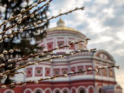 Роман Старовойт поздравил курян с Вербным воскресеньем
