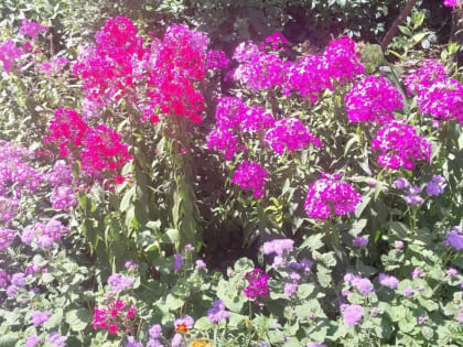 В Курске 24 сентября ожидается 27 градусов тепла