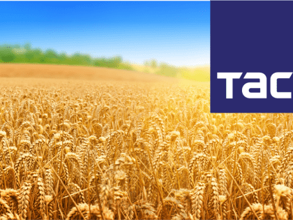 ТАСС: В Курской области экспорт зерновой продукции вырос на 20%
