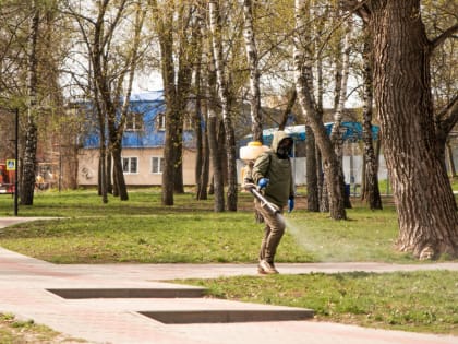 В Курской области трое взрослых заболели клещевым боррелиозом