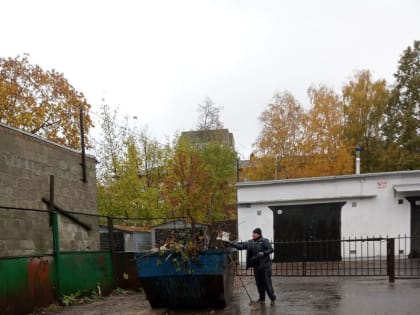 Курские коммунальщики привели в порядок контейнерную площадку на улице Ленина