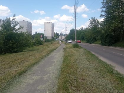 В Курске на улице Звездной покосили сорную растительность