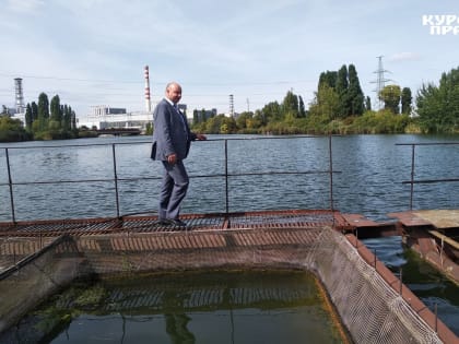 В курчатовском водохранилище обитают редкие виды флоры и фауны