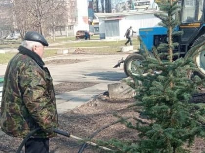 Продолжаются работы по озеленению общественных территорий города Курска.