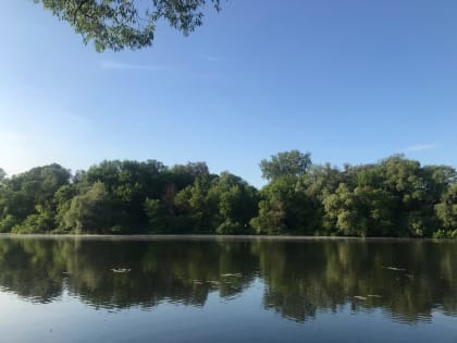 В Курске открыли купальный сезон