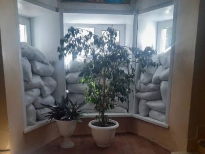 Обеспечение безопасности в городе: новые меры и инициативы