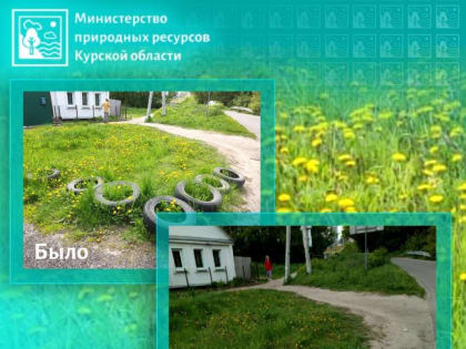 Минприроды Курской области пресечено незаконное складирование отходов